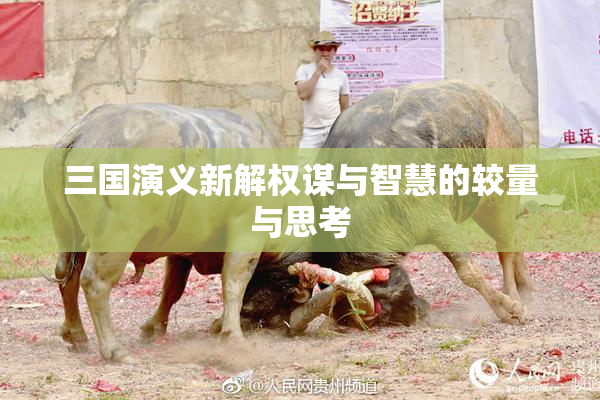 三国演义新解权谋与智慧的较量与思考