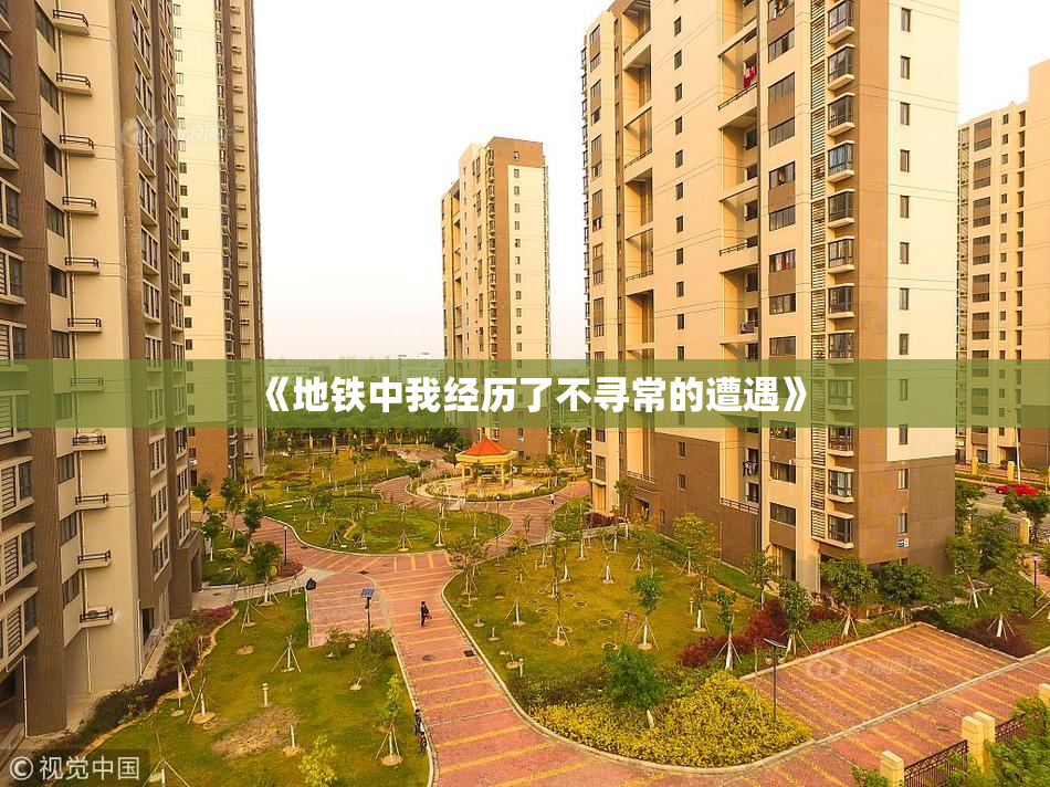 《地铁中我经历了不寻常的遭遇》