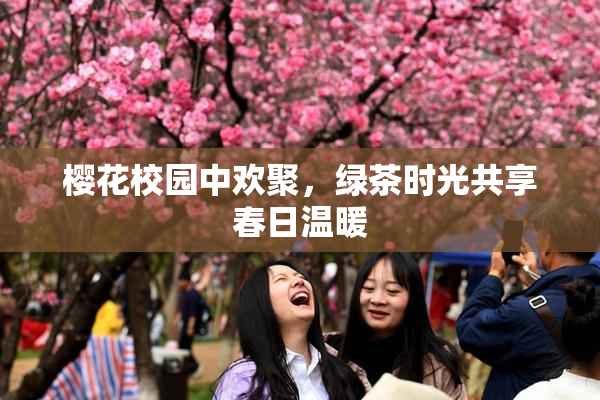 樱花校园中欢聚，绿茶时光共享春日温暖