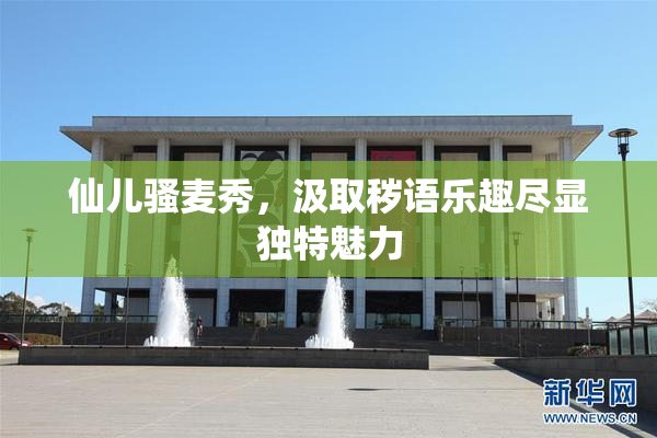 仙儿骚麦秀，汲取秽语乐趣尽显独特魅力
