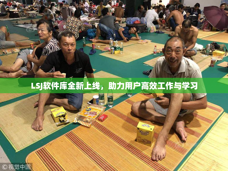 LSJ软件库全新上线，助力用户高效工作与学习