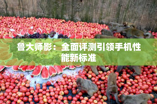 鲁大师影：全面评测引领手机性能新标准