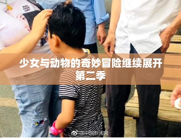 少女与动物的奇妙冒险继续展开第二季