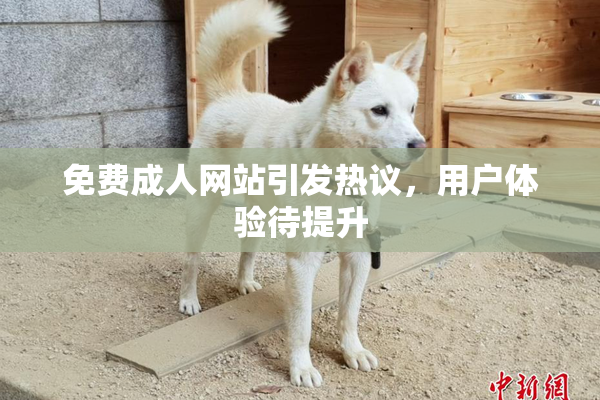 免费成人网站引发热议，用户体验待提升