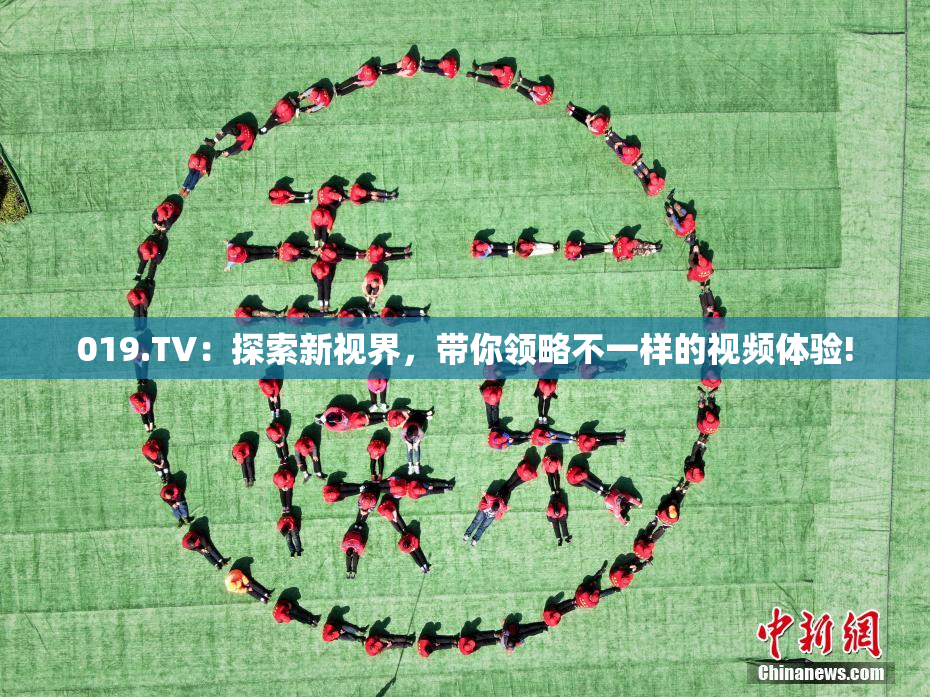 019.TV：探索新视界，带你领略不一样的视频体验!