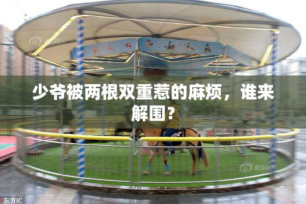 少爷被两根双重惹的麻烦，谁来解围？