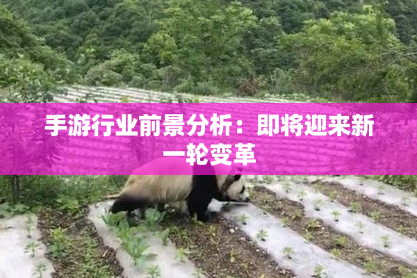 手游行业前景分析：即将迎来新一轮变革