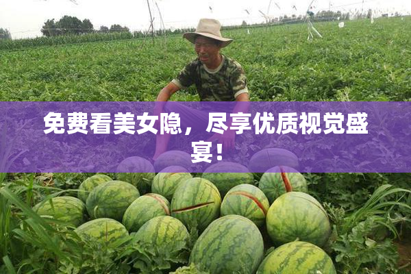 免费看美女隐，尽享优质视觉盛宴！