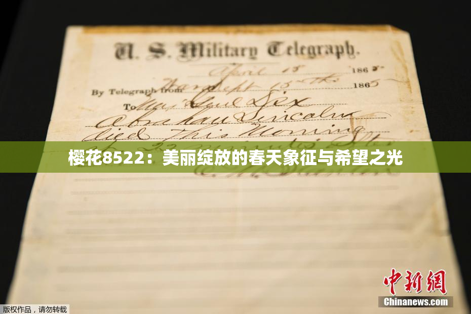 樱花8522：美丽绽放的春天象征与希望之光