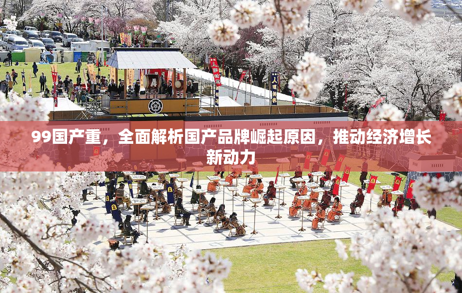 99国产重，全面解析国产品牌崛起原因，推动经济增长新动力