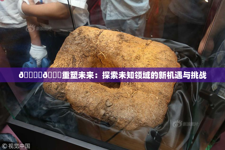 🔞‌🍌重塑未来：探索未知领域的新机遇与挑战