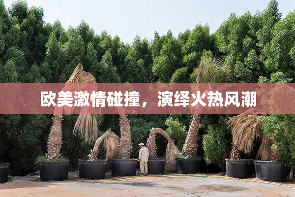 欧美激情碰撞，演绎火热风潮