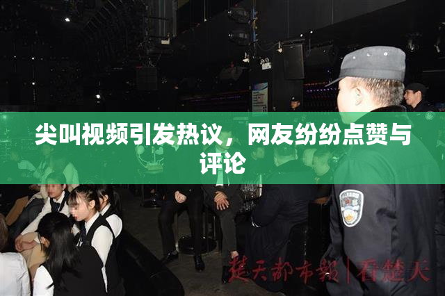 尖叫视频引发热议，网友纷纷点赞与评论
