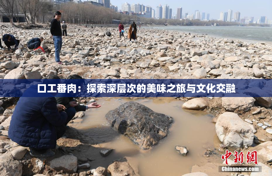 口工番肉：探索深层次的美味之旅与文化交融