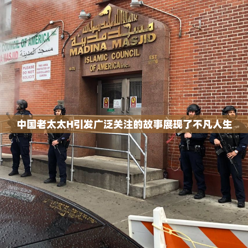 中国老太太H引发广泛关注的故事展现了不凡人生