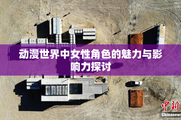 动漫世界中女性角色的魅力与影响力探讨