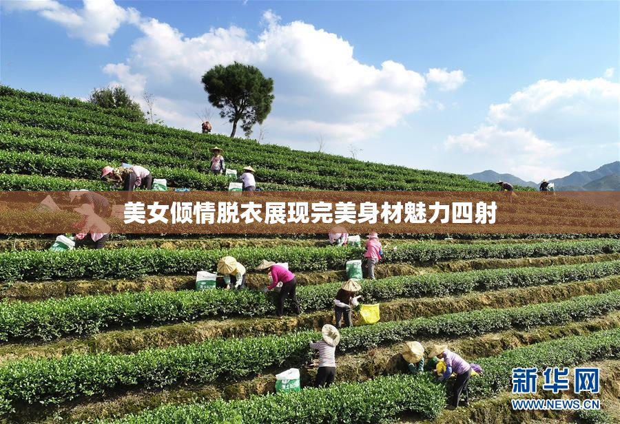 美女倾情脱衣展现完美身材魅力四射