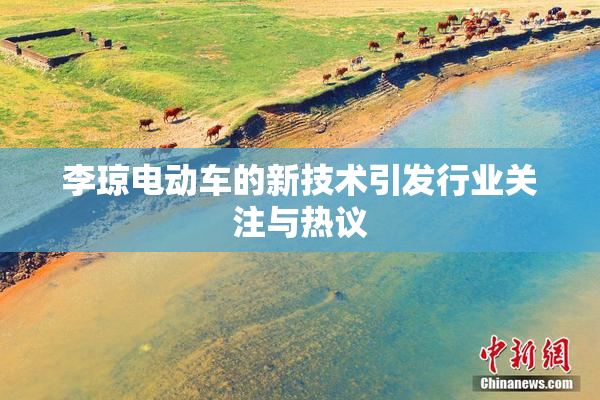 李琼电动车的新技术引发行业关注与热议