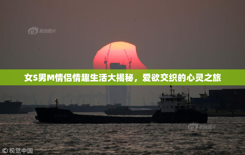 女S男M情侣情趣生活大揭秘，爱欲交织的心灵之旅