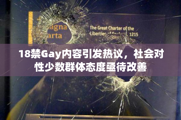 18禁Gay内容引发热议，社会对性少数群体态度亟待改善