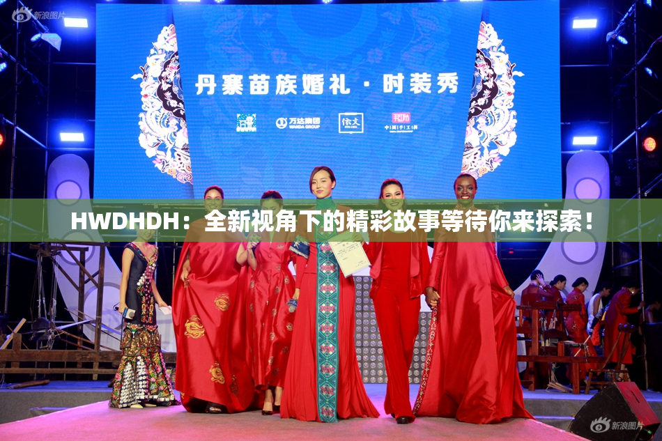 HWDHDH：全新视角下的精彩故事等待你来探索！