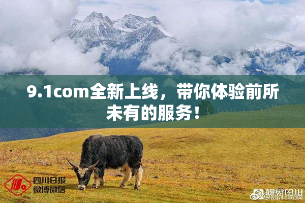 9.1com全新上线，带你体验前所未有的服务！