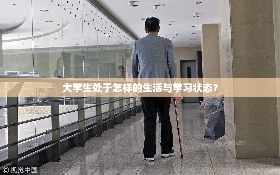 大学生处于怎样的生活与学习状态？