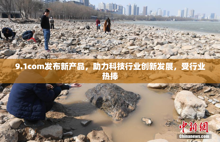 9.1com发布新产品，助力科技行业创新发展，受行业热捧