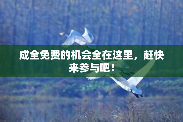 成全免费的机会全在这里，赶快来参与吧！