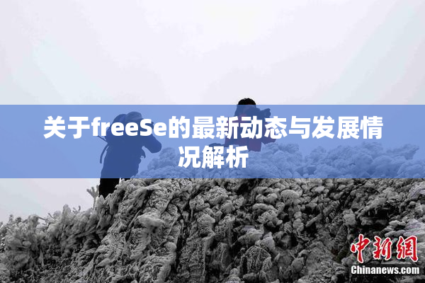 关于freeSe的最新动态与发展情况解析