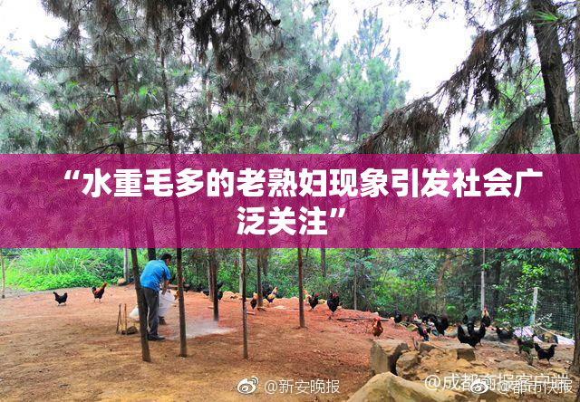 “水重毛多的老熟妇现象引发社会广泛关注”
