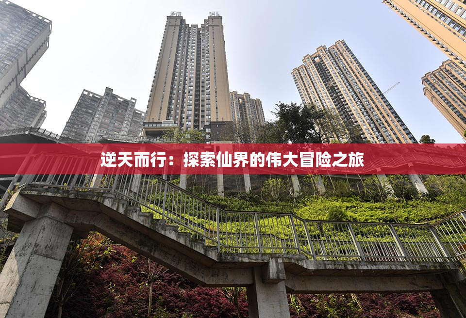 逆天而行：探索仙界的伟大冒险之旅