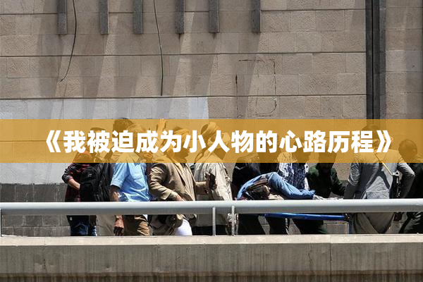 《我被迫成为小人物的心路历程》