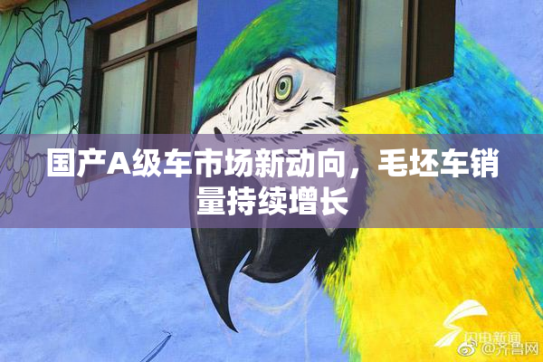 国产A级车市场新动向，毛坯车销量持续增长