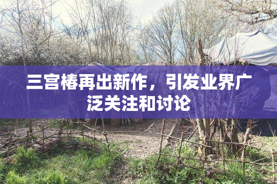 三宫椿再出新作，引发业界广泛关注和讨论