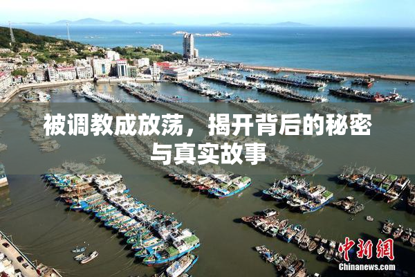 被调教成放荡，揭开背后的秘密与真实故事