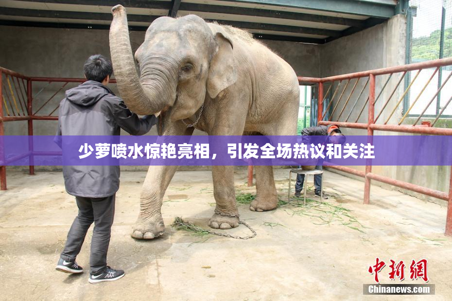 少萝喷水惊艳亮相，引发全场热议和关注