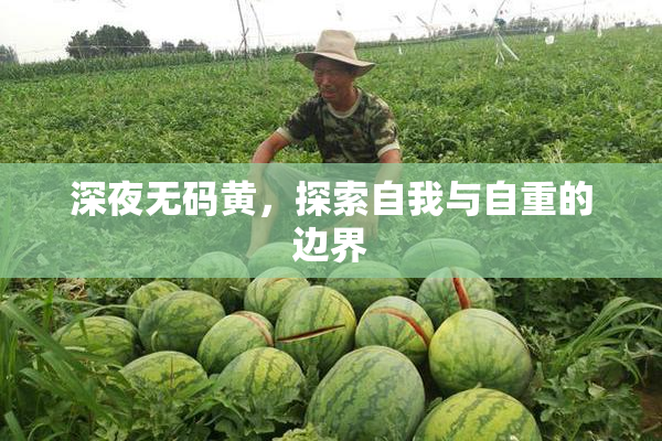 深夜无码黄，探索自我与自重的边界