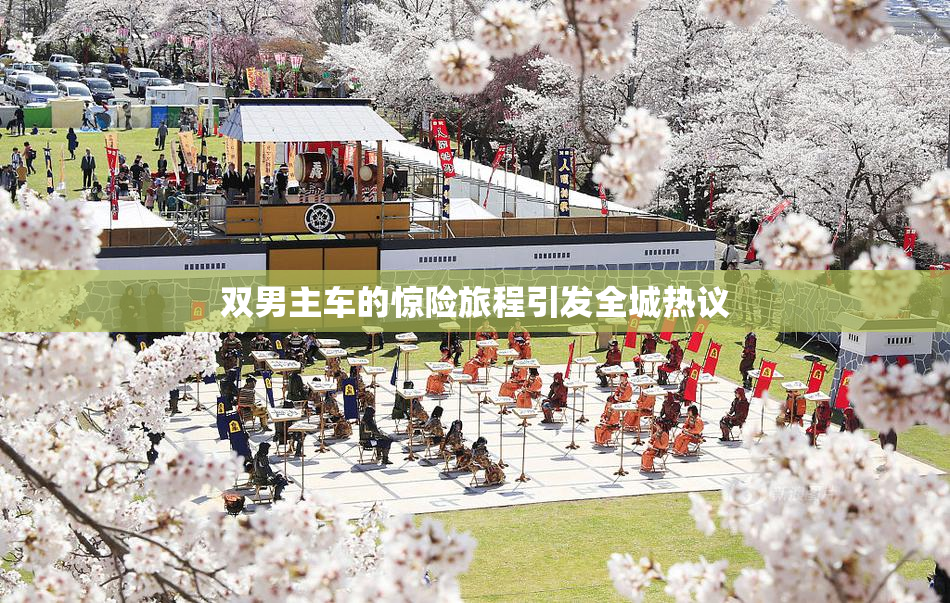 双男主车的惊险旅程引发全城热议