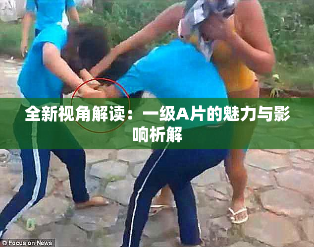 全新视角解读：一级A片的魅力与影响析解