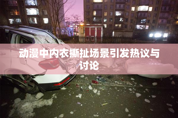 动漫中内衣撕扯场景引发热议与讨论