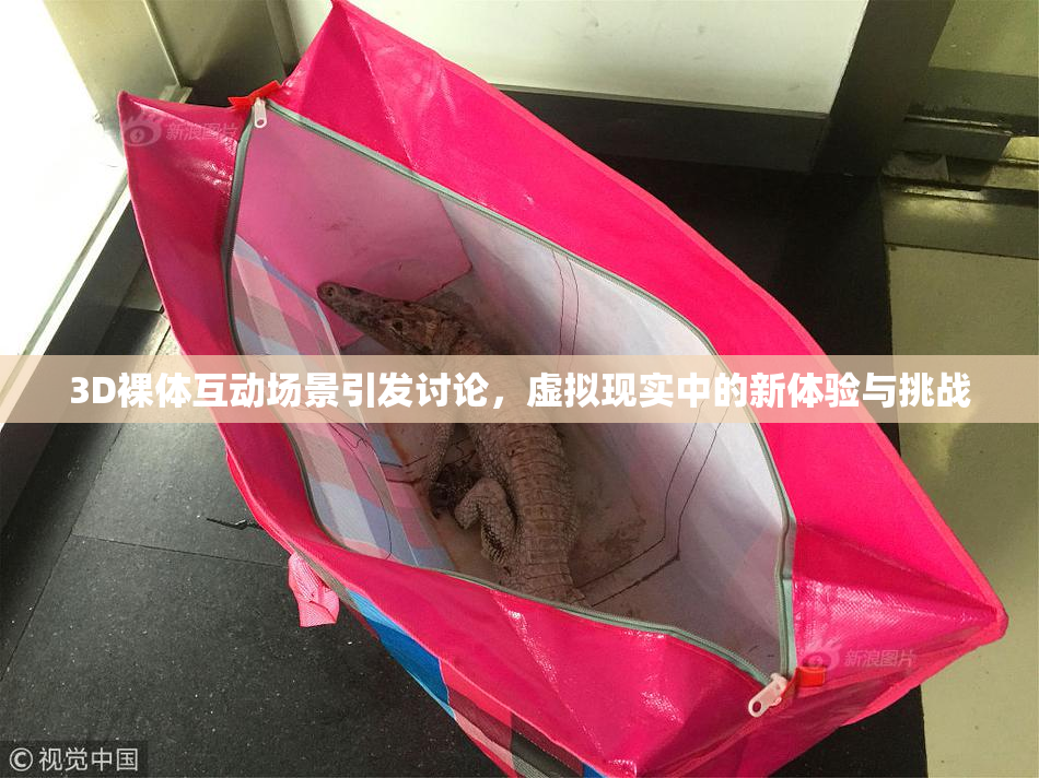 3D裸体互动场景引发讨论，虚拟现实中的新体验与挑战