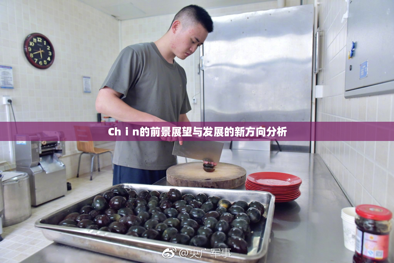Chⅰn的前景展望与发展的新方向分析