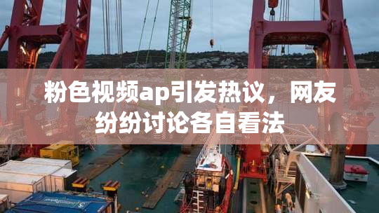粉色视频ap引发热议，网友纷纷讨论各自看法