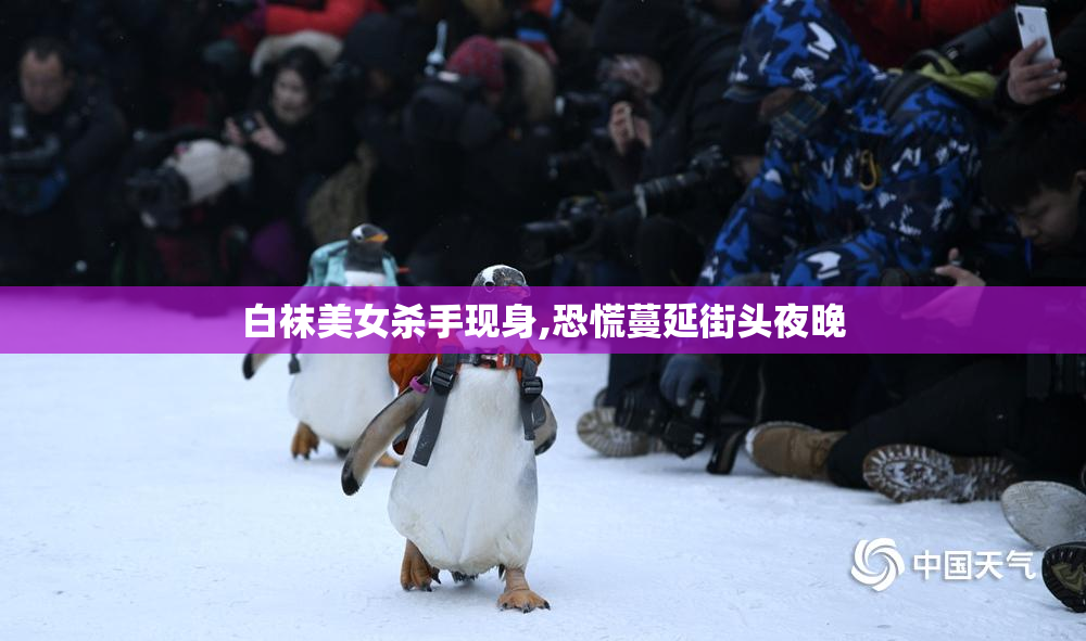 白袜美女杀手现身,恐慌蔓延街头夜晚
