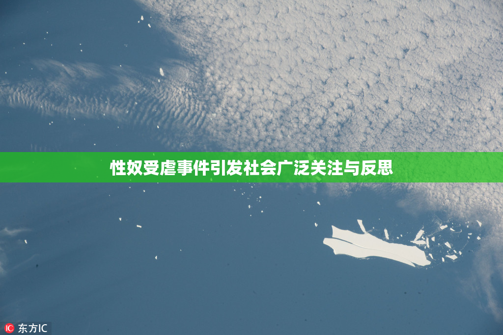 性奴受虐事件引发社会广泛关注与反思