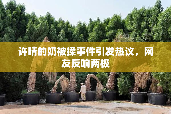 许晴的奶被揉事件引发热议，网友反响两极