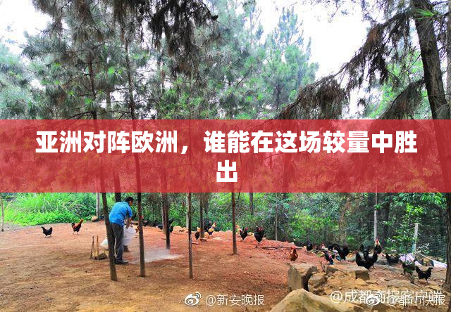 亚洲对阵欧洲，谁能在这场较量中胜出