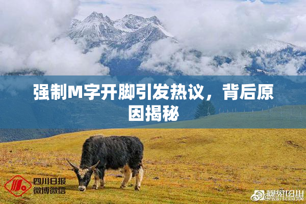 强制M字开脚引发热议，背后原因揭秘