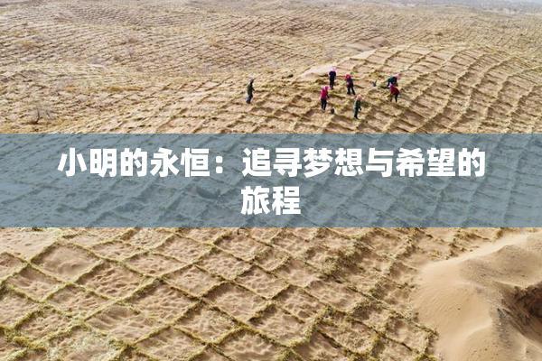 小明的永恒：追寻梦想与希望的旅程